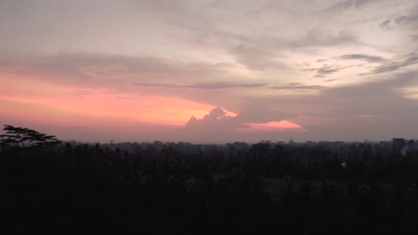 Sonnenuntergang auf Bali tropischen Dschungel Drohne 4k erschossen — Stockvideo