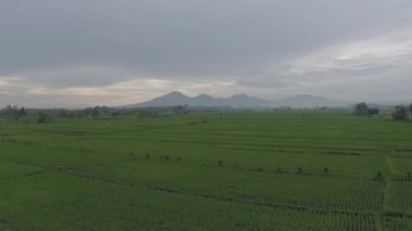 Batur Agung volkanı ve pirinç tarlası Bali 4k İHA 'da.