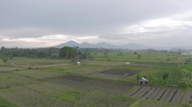 Batur Agung volkanı ve pirinç tarlası Bali 4k İHA 'da.