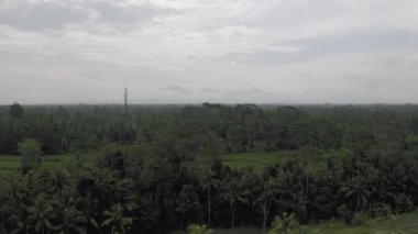 Bali 4k 'da dağlar ve ormanlar. Drone atışı.