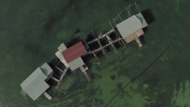 Perlenbergbau und Wohnhäuser im Wasser in vientam — Stockvideo