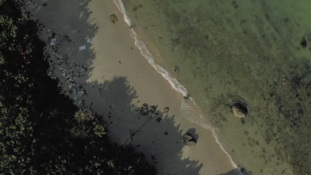 푸 쿠크 섬 숲 과 모래 해변 4K 드론 샷 — 비디오