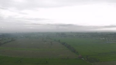 Bali Adası 'ndaki Yeşil Pirinç Sahası 4k İHA uçağı