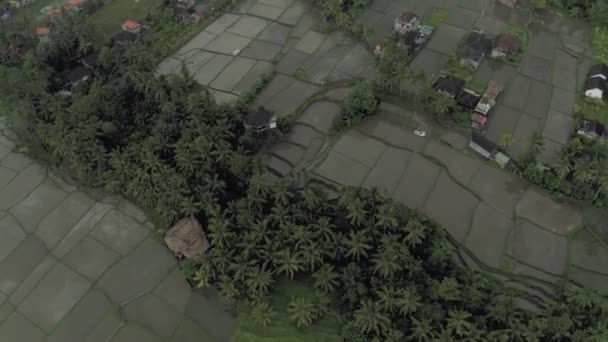Σπίτια και ορυζώνες στο νησί Μπαλί 4k Drone Πτήση — Αρχείο Βίντεο
