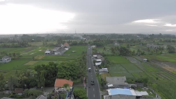 Samochody na drodze w domach wiejskich i pól ryżowych na wyspie Bali 4k Drone Flight — Wideo stockowe