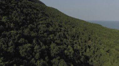 Phu Quoc Adası Ormanı 4k Drone ateşi