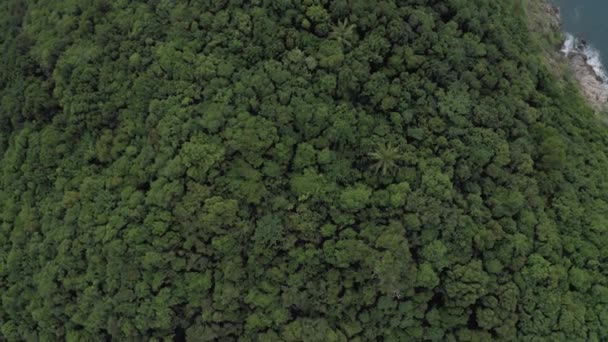 Selva en Asia, Isla Phangan en Tailandia, disparo 4K Drone — Vídeos de Stock