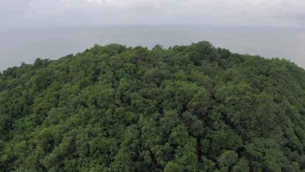 Asya 'da orman, Tayland' da Phangan Adası, 4k İHA atışı. — Stok video