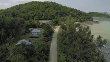 Asya 'da, Tayland' da, Okyanus 'un yanında Palmiye Yolu, 4k Drone.