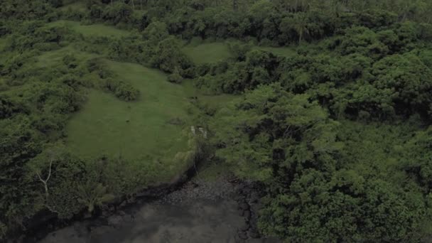 Ocean wawes in Bali Island 4K Drone flight — Stock Video