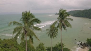 Palm Trees ve Rocky Beach 4k Tayland 'da İHA çekimi