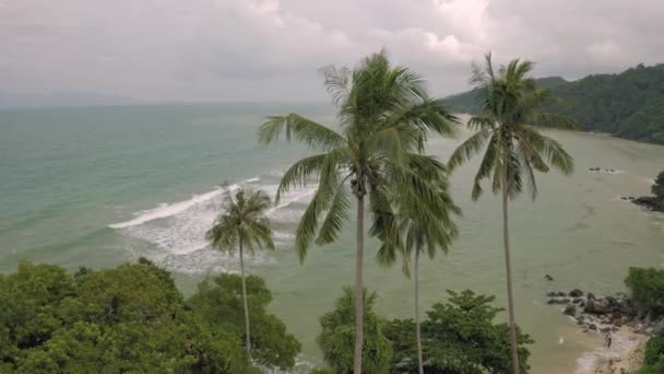 Palmeras y Rocky Beach 4k Drone tiro en Tailandia — Vídeos de Stock