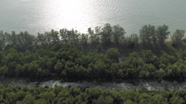 Île dans le Golfe de Thaïlande au Cambodge 4K Drone flight — Video