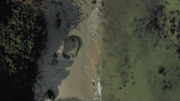 Phu Quoc Ilha floresta e areia praia 4K Drone shot — Vídeo de Stock
