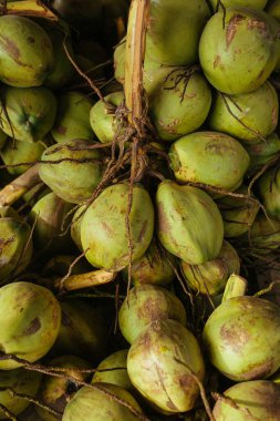 Asya 'daki markette genç yeşil hindistan cevizleri