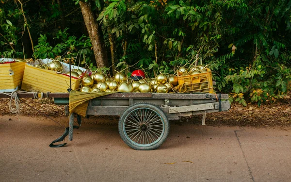 Cocos de ouro no trailer no Vietnã — Fotografia de Stock
