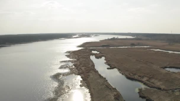 Rivière Liepupe près de la mer Baltique et l'herbe jaune à Jurmala en Lettonie — Video