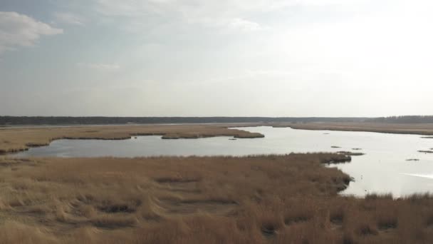 Liepupe folyó a Balti-tenger közelében és a sárga fű a lettországi Jurmalában — Stock videók