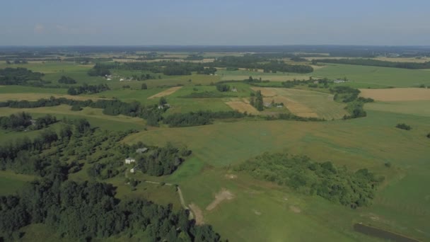 Bosque y campos de colza Drone tiro en Europa Letonia — Vídeos de Stock