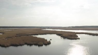 Baltık Denizi yakınlarındaki Liepupe Nehri ve Letonya 'daki Jurmala' daki sarı çimenler