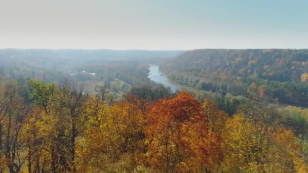 Río y bosque en otoño Sigulda naturaleza de la ciudad, Gauya, 4K drone vuelo, puente coche unidad desde arriba — Vídeo de stock