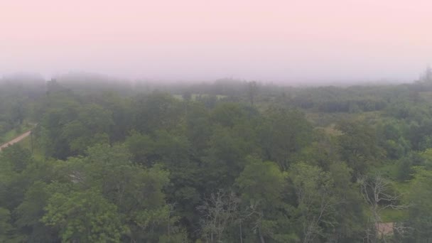 Dimma över sjön, Drone flygning, Natur morgon i Europa — Stockvideo