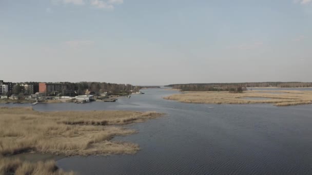 Rio Liepupe perto do Mar Báltico e da grama amarela em Jurmala, na Letónia — Vídeo de Stock