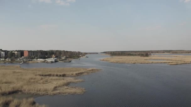 Rzeka Liepupe w pobliżu Morza Bałtyckiego i żółta trawa w Jurmala na Łotwie — Wideo stockowe