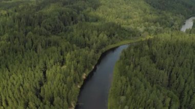 Avrupa 'daki Gauja Nehri Letonya Ulusal Parkı 4k Drone