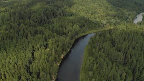 Gauja River in Europe Lettonie National Park 4K Drone shot 