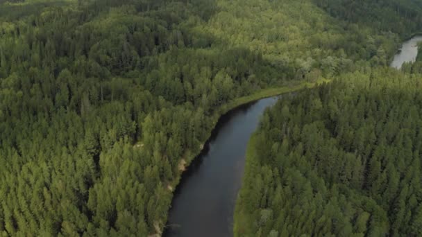 Gauja ποταμού στην Ευρώπη Λετονία Εθνικό Πάρκο 4k Drone πυροβόλησε — Αρχείο Βίντεο