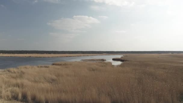 Rzeka Liepupe w pobliżu Morza Bałtyckiego i żółta trawa w Jurmala na Łotwie — Wideo stockowe