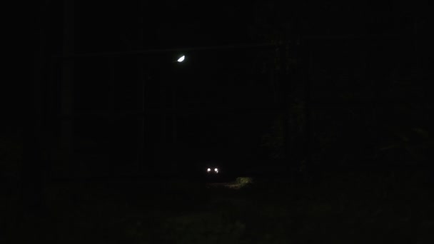 暗い夜の森の中の車のヘッドライト — ストック動画