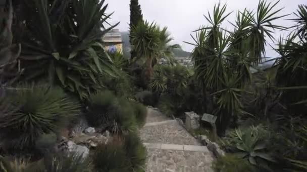Зелений парк в Езе (Франція), літо Європа. — стокове відео