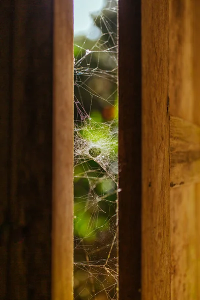 遗失房屋中木制窗户上的蜘蛛网 — 图库照片