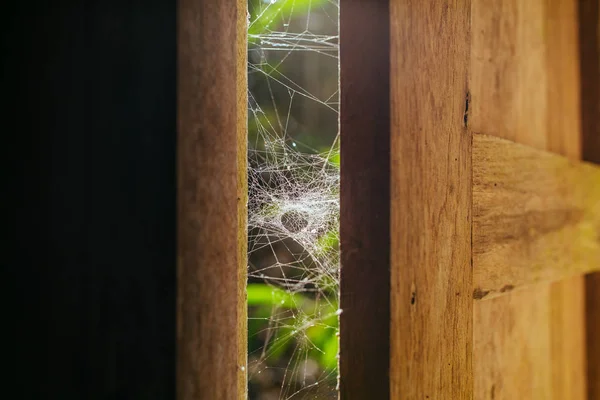 Spider web in sunlights on wooden windows in lost house — Stock Photo, Image