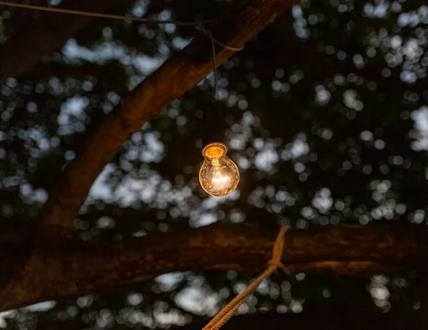 Belysning lampa senare på Treei n Asien — Stockfoto