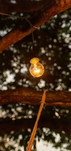 Lampe d'éclairage latérale sur les arbres en Asie — Photo