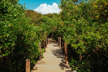 Kamboçya 'da yüzen köy Kampong Phluk Pean Bang, Tonle Sap Gölü