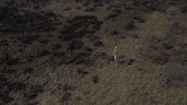 Menina dançando no campo com musgo, 4k drone shot — Vídeo de Stock