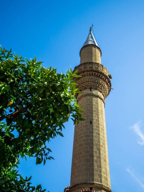 Cami minaresi ve ağaçları