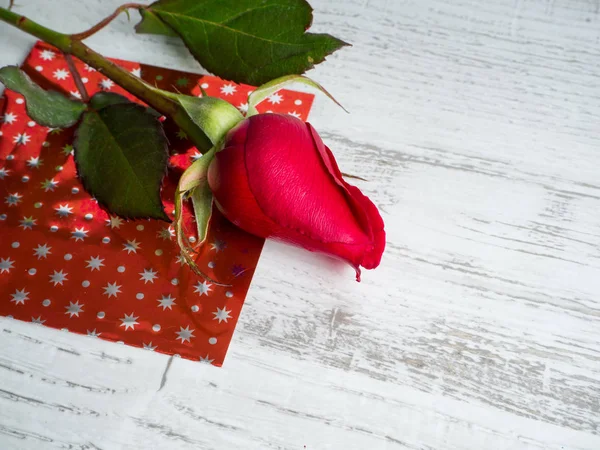 Roze roos voor valentines day — Stockfoto