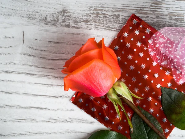 Розовая роза на День Святого Валентина — стоковое фото