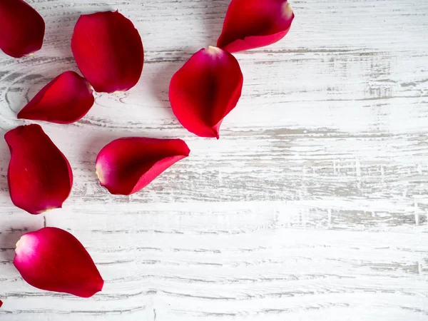 Красная роза на день святого Валентина — стоковое фото