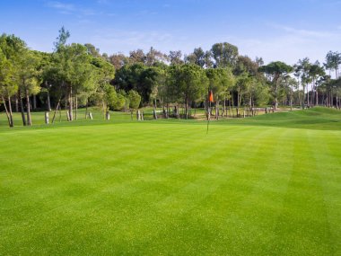 Kırsalda golf sahası