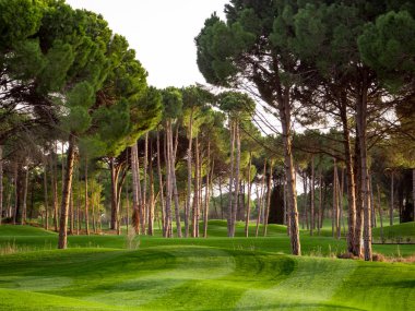 Kırsalda golf sahası