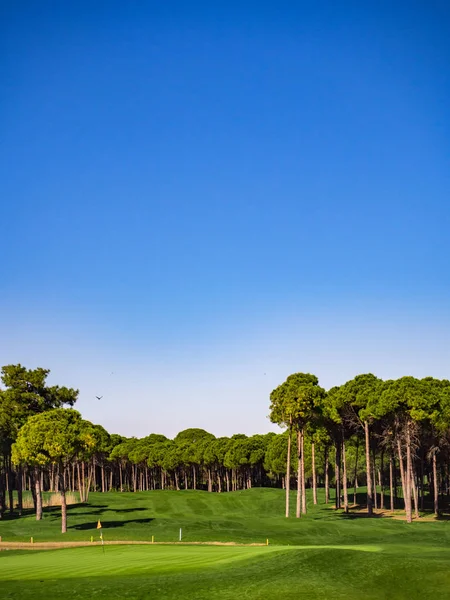 Campo de golfe no campo — Fotografia de Stock