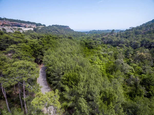 Aerial forest photo — Stock Photo, Image