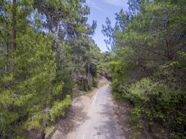 Aerial forest photo — Stock Photo, Image