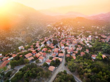 Hava ormana ibradi